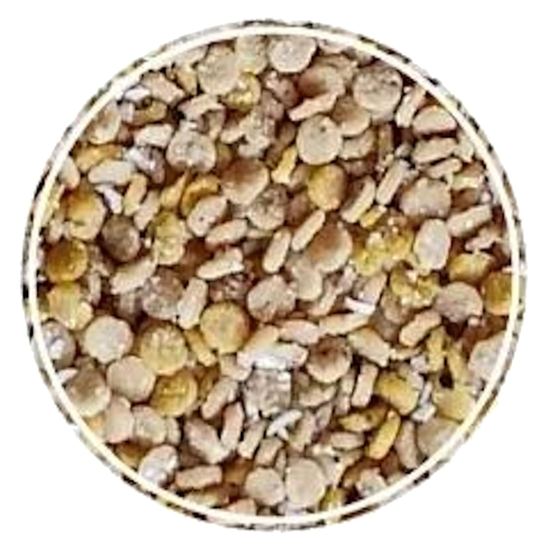 ALCON CLUB FARINHADA PSITACÍDEOS 250G SUPER PREMIUM KIT COM 6